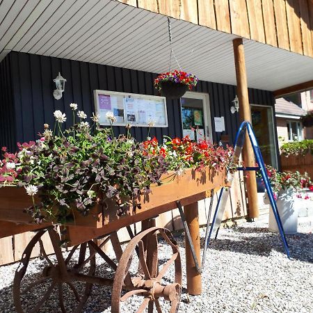 Bollingso Camping Engesvang Bagian luar foto