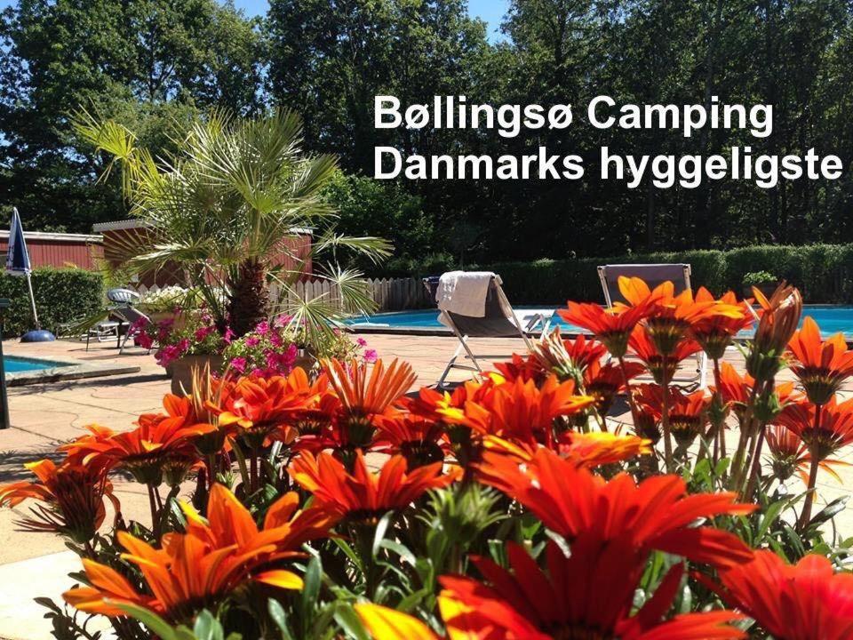 Bollingso Camping Engesvang Bagian luar foto